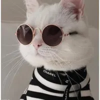 A receptet feltöltő Anita felhasználónk profilképe