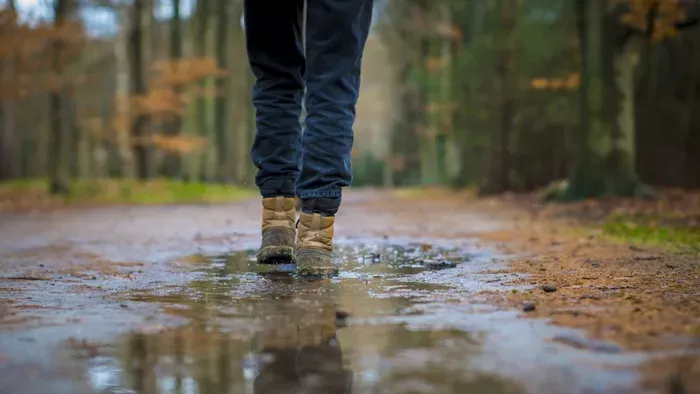 A Lidl terméke aranyat érhet ősszel, a 3 részes szett csak 1499 forint