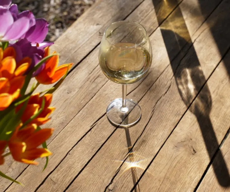 10 éve mutatkozott be az egri csillag