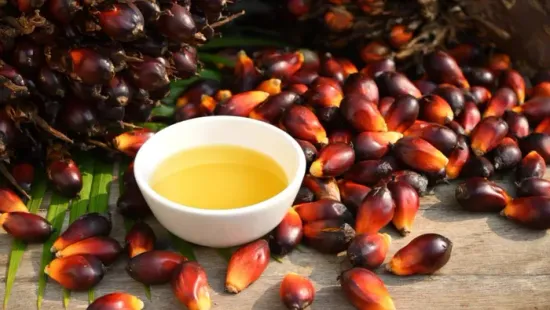 A pálmaolaj mégsem akkora mumus, mint gondoltuk? Íme az igazság!