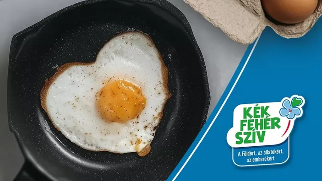 A Kék-Fehér-Szív a tudatos táplálkozás erejével formálja a jövőt