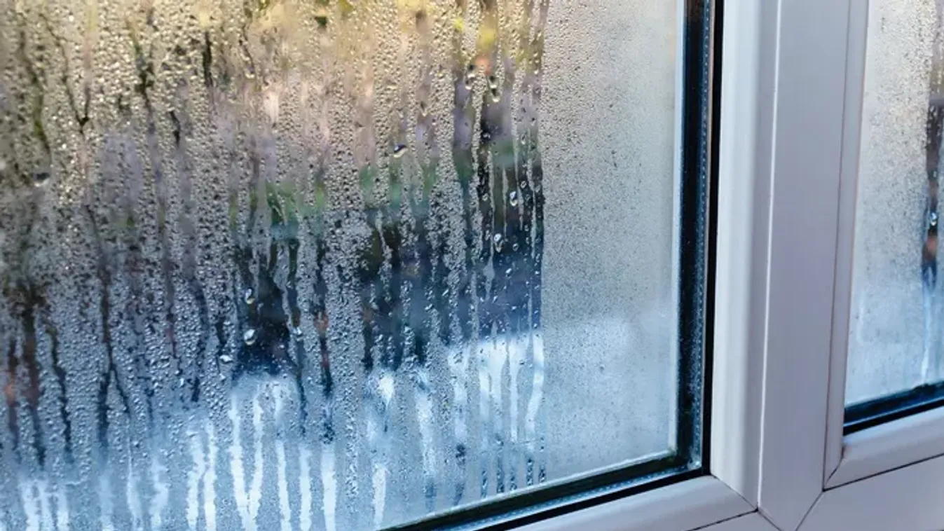 Páramentesítés fillérekből: ezek a trükkök tényleg működnek!