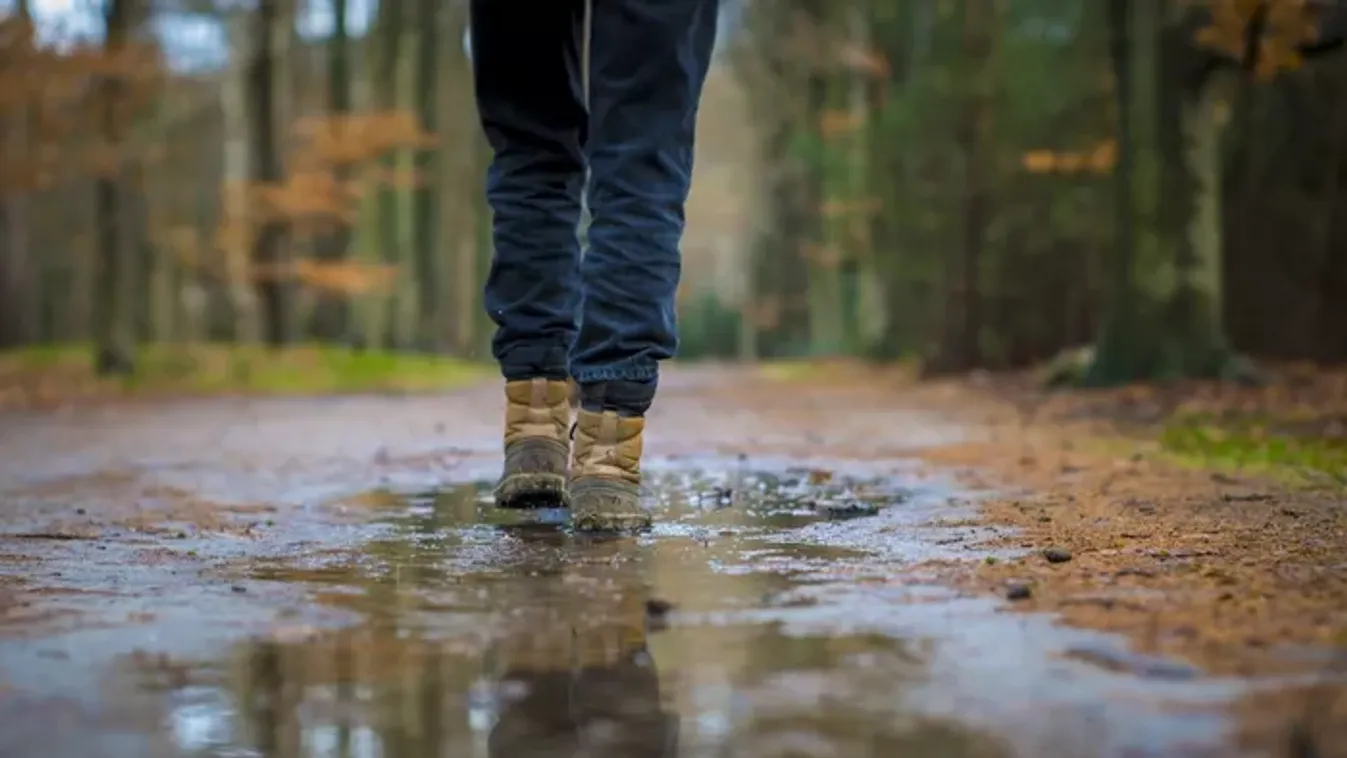 A Lidl terméke aranyat érhet ősszel, a 3 részes szett csak 1499 forint