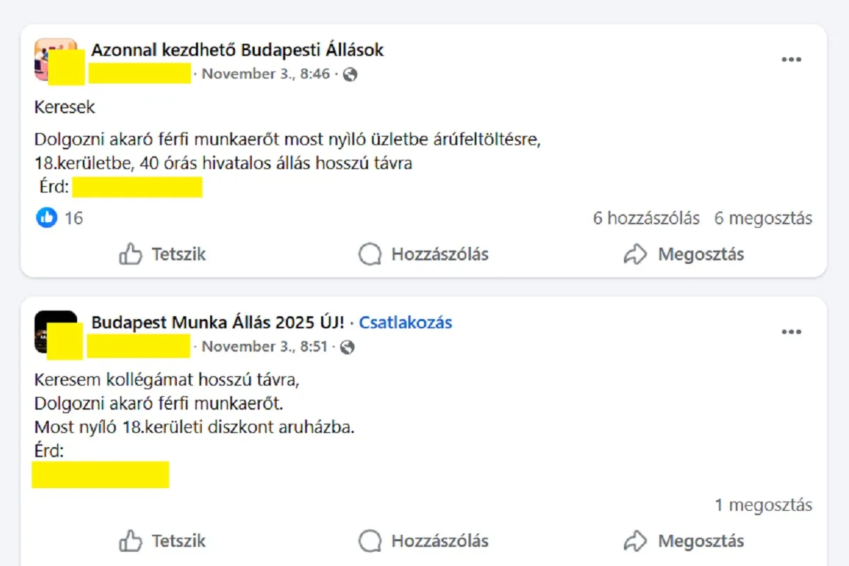 Keresik a dolgozókat a hamarosan nyíló áruházba