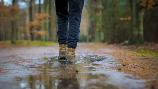 A Lidl terméke aranyat érhet ősszel, a 3 részes szett csak 1499 forint