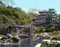 A receptet feltöltő Kósa Linda felhasználónk profilképe