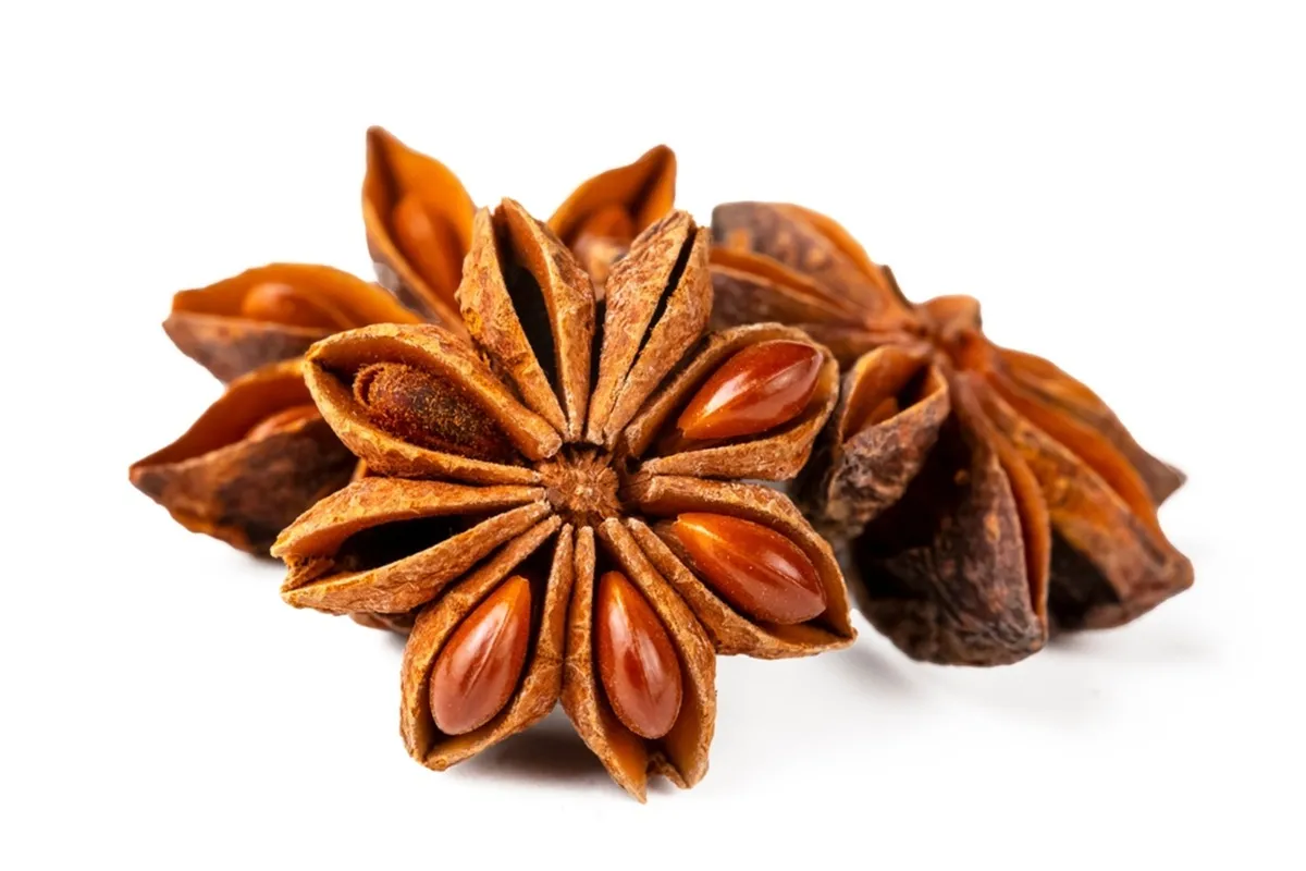 A csillagánizs rendkívül sokoldalú fűszer