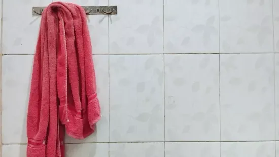 Penész, pára, hideg törölköző? Ezzel a Lidl-termékkel ennek vége!