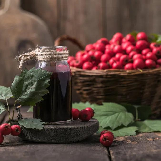 Ajándékok ehető vadnövényekből