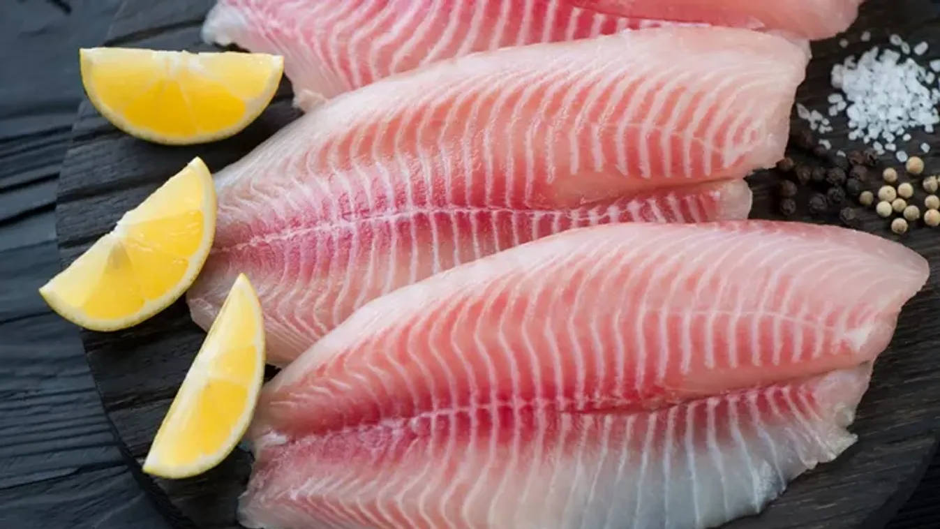 Tilápia: olcsó, finom – de egészséges is?