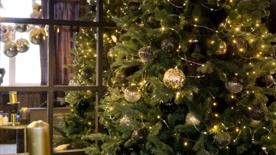 Égve hagyhatjuk éjszakára a karácsonyfa fényeit? Ezt mondják a szakértők