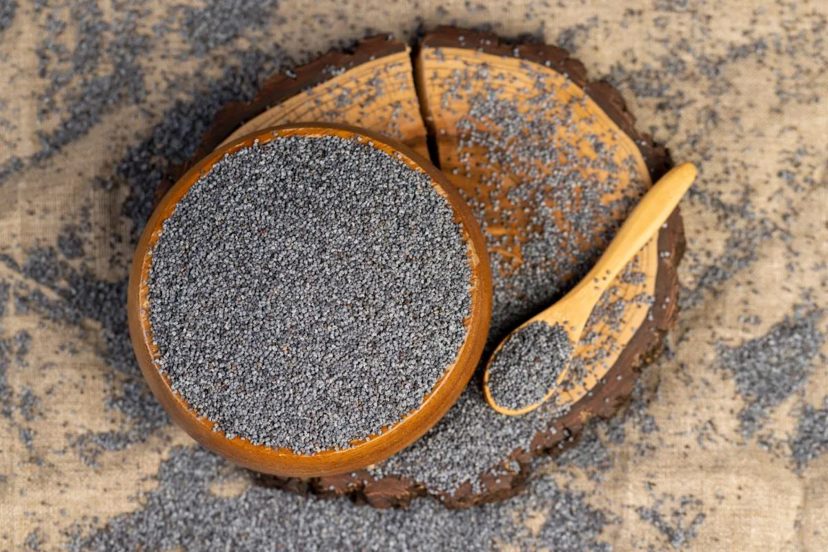 Mákos sütemények alapja: friss mákszemek asztalon tálba