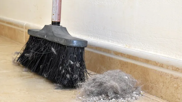 Neked is tele van porgomolyaggal a seprű? Itt a tuti módszer, hogy megszabadulj tőle!