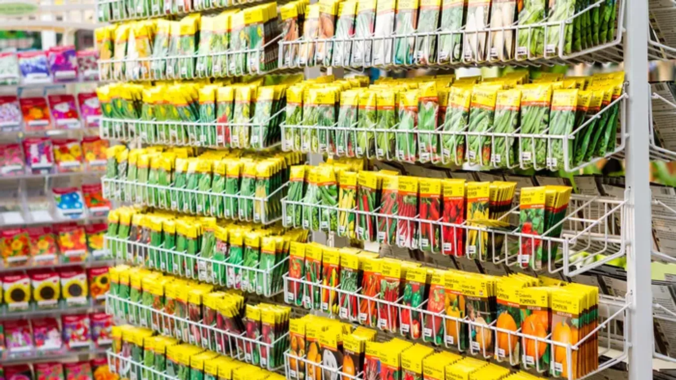 Ezt kell tenned télen, hogy nyáron gyönyörű legyen a veteményeskerted