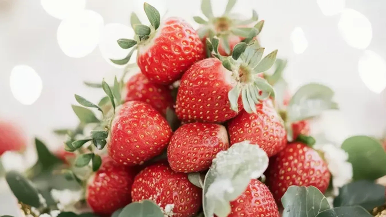 Döbbenet, milyen korán érkezik idén a görög eper