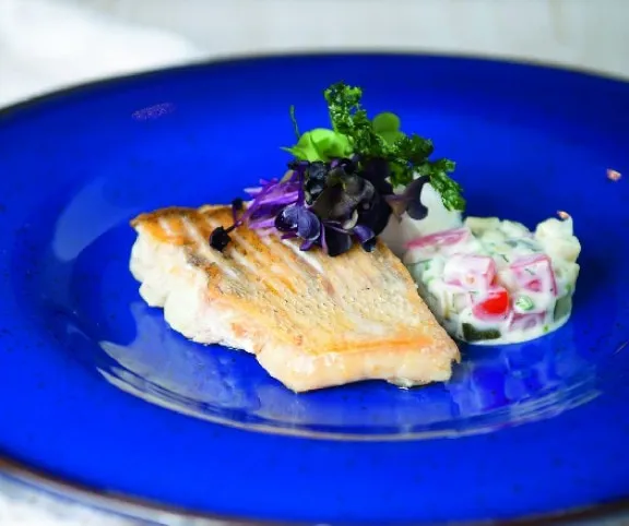 Kapros cukkini fogasfilével