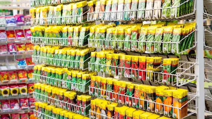 Ezt kell tenned télen, hogy nyáron gyönyörű legyen a veteményeskerted