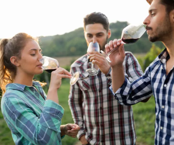 Borkóstolás 1x1: avagy hogyan kóstoljunk bort?