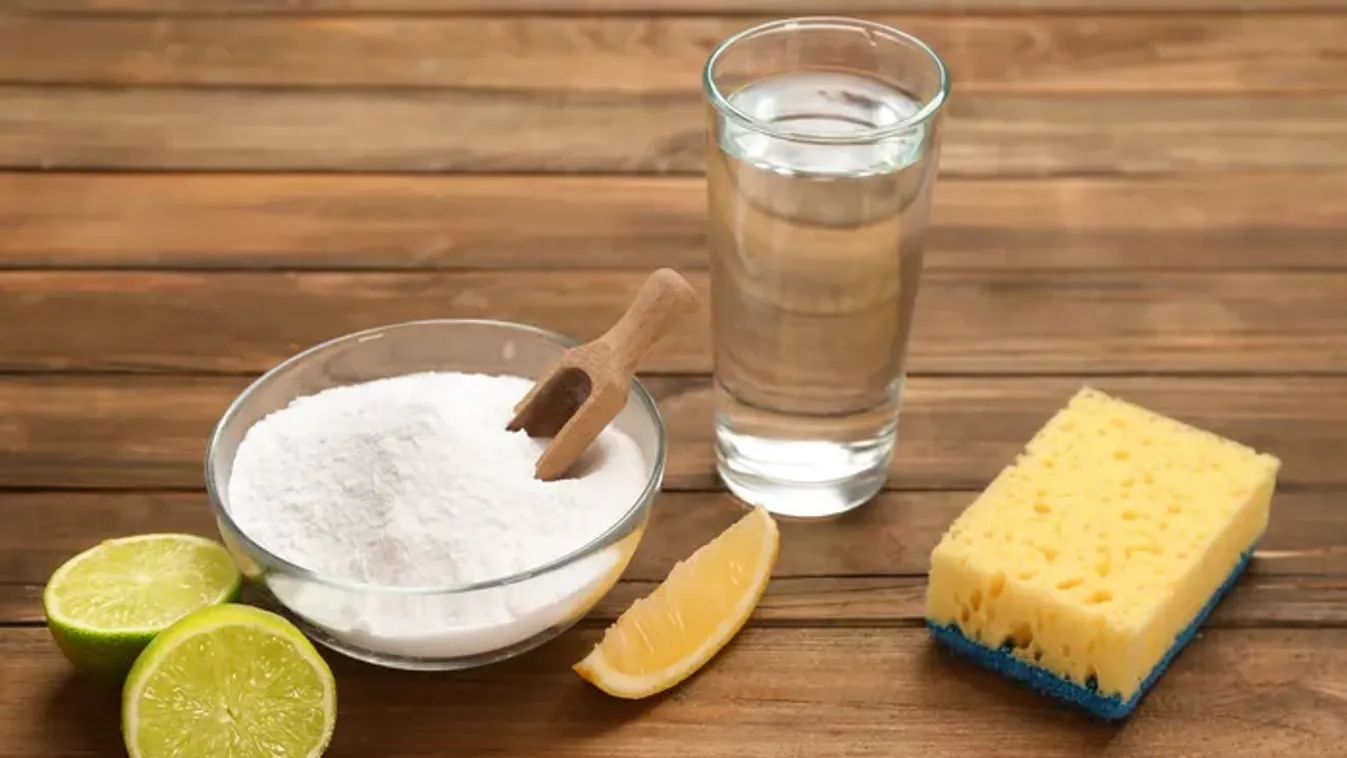 Nincs szükség légfrissítőre: ezek a természetes szagtalanítók szuperül működnek!