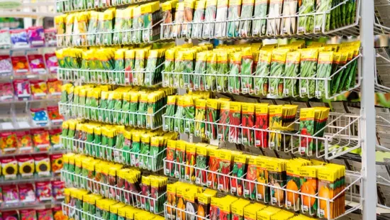 Ezt kell tenned télen, hogy nyáron gyönyörű legyen a veteményeskerted