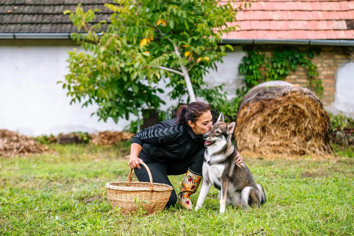 Tischler Petra és kutyája, Tajga