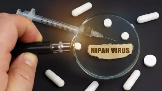 Van okunk aggódni? Minden fontos információ a Nipah-vírusról