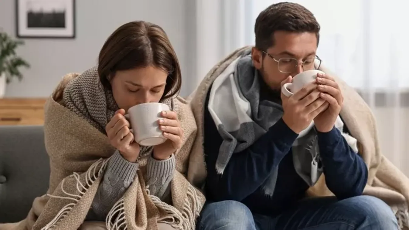 Ez az olcsó étrend-kiegészítő segíthet elkerülni az influenzát