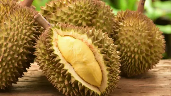 A világ legmegosztóbb gyümölcse: te megkóstolnád a büdös, de finom duriánt?