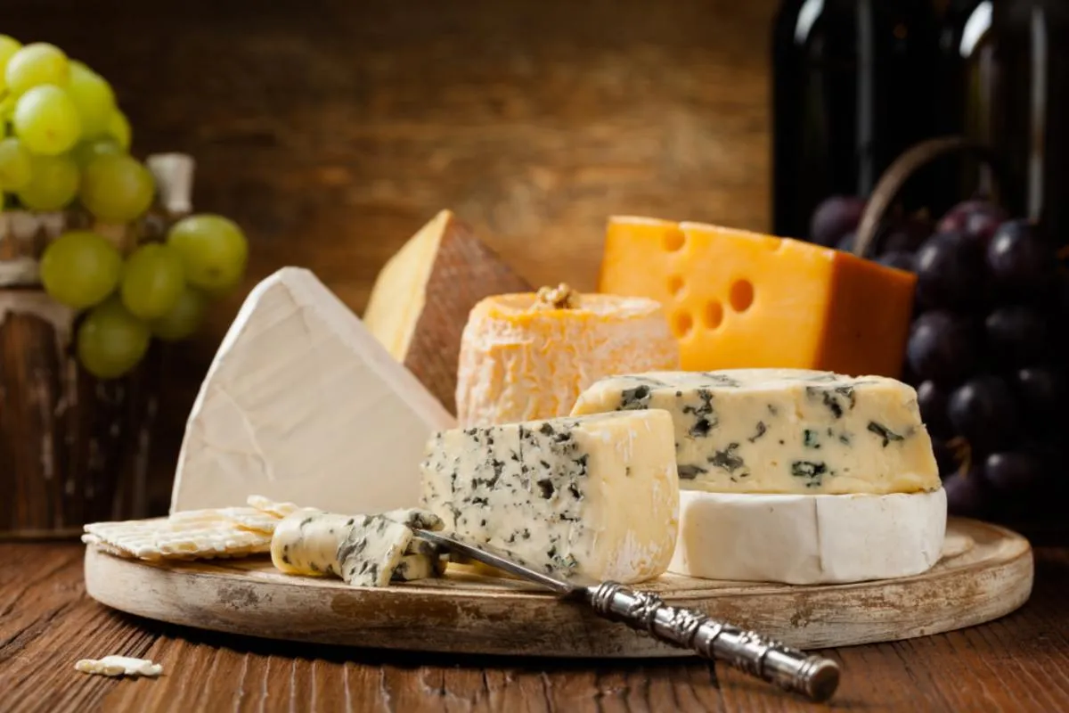 Kézműves sajtok tesztelése: egy tálcán több féle sajt