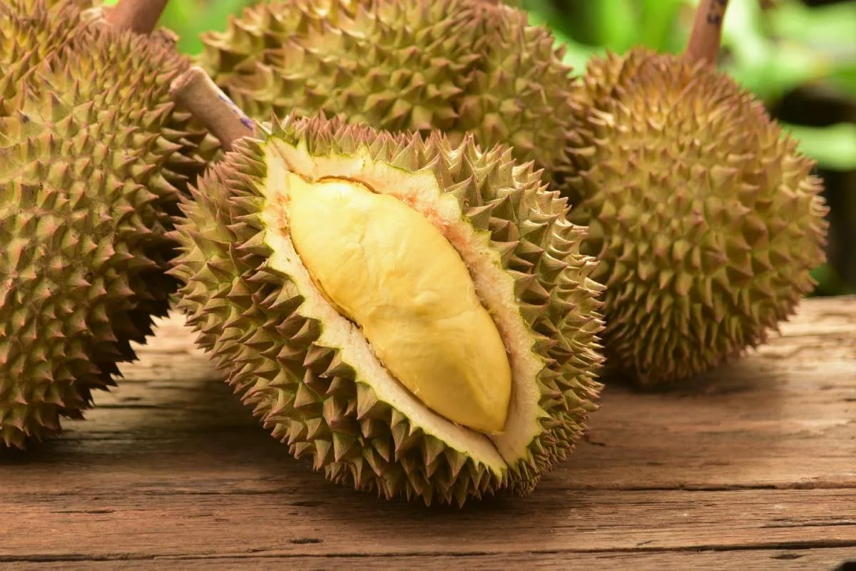 Durián gyümölcsök egy asztalon 