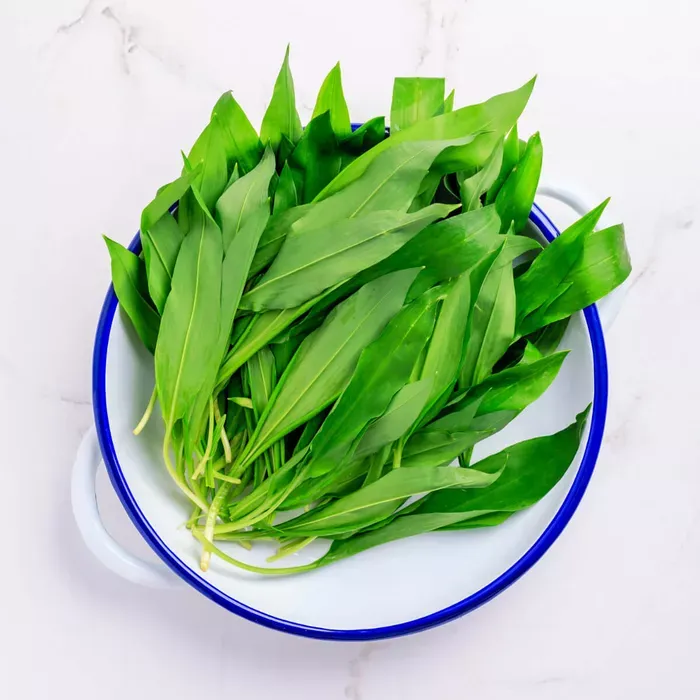 Medvehagyma
