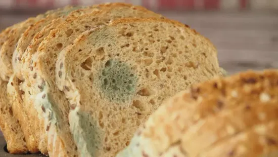 Penészes a kenyér? Jobb ha vigyázol vele!