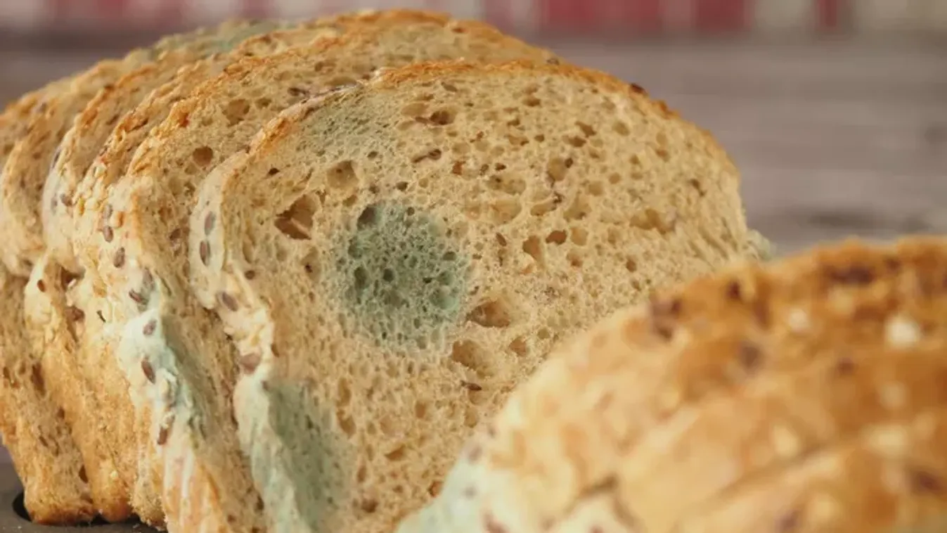 Penészes a kenyér? Jobb ha vigyázol vele!