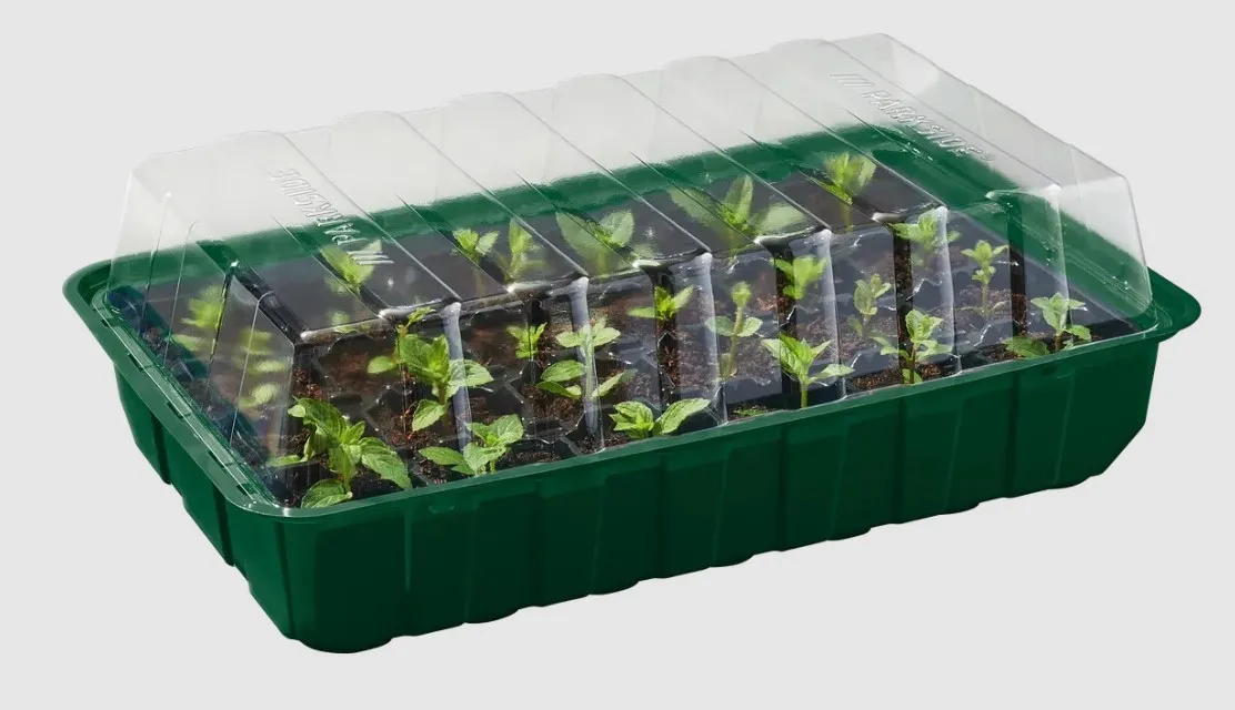 A Lidlben kapható Parkside palántázókészlet tökéletes a saját növények nevelésére