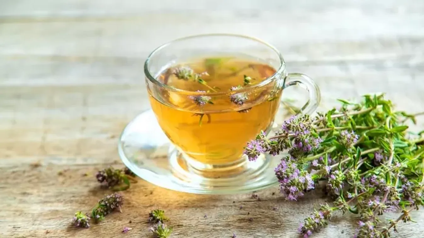 Nem is hinnénk, mit tesz a szervezetünkkel a kakukkfű