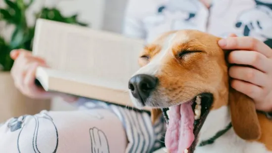 Álmos vagy és folyton ásítozol napközben? Ez komolyabb veszélyt jelezhet, mint hinnéd!