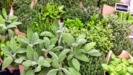 Termékvisszahívás: komoly betegséget okozhat az Aldi fűszere!