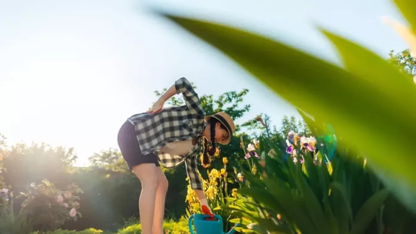 7 étrend-kiegészítő, ami kerti munkák idején kötelező