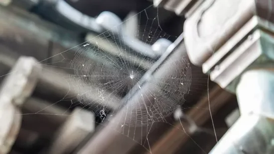 Pókok a lakásban? Ezt fújd az ablakra, hogy eltűnjenek