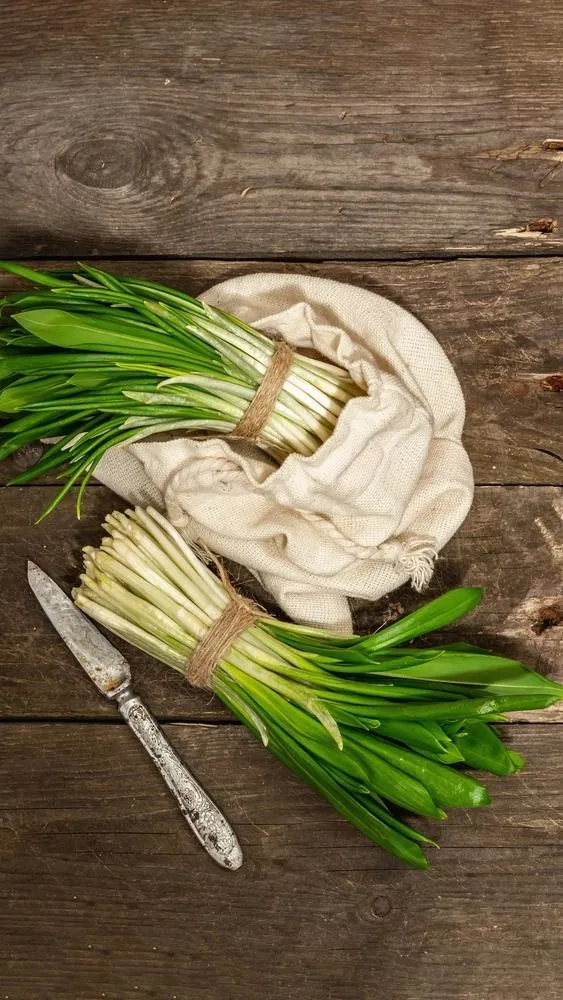 Medvehagyma vagy gyöngyvirág?