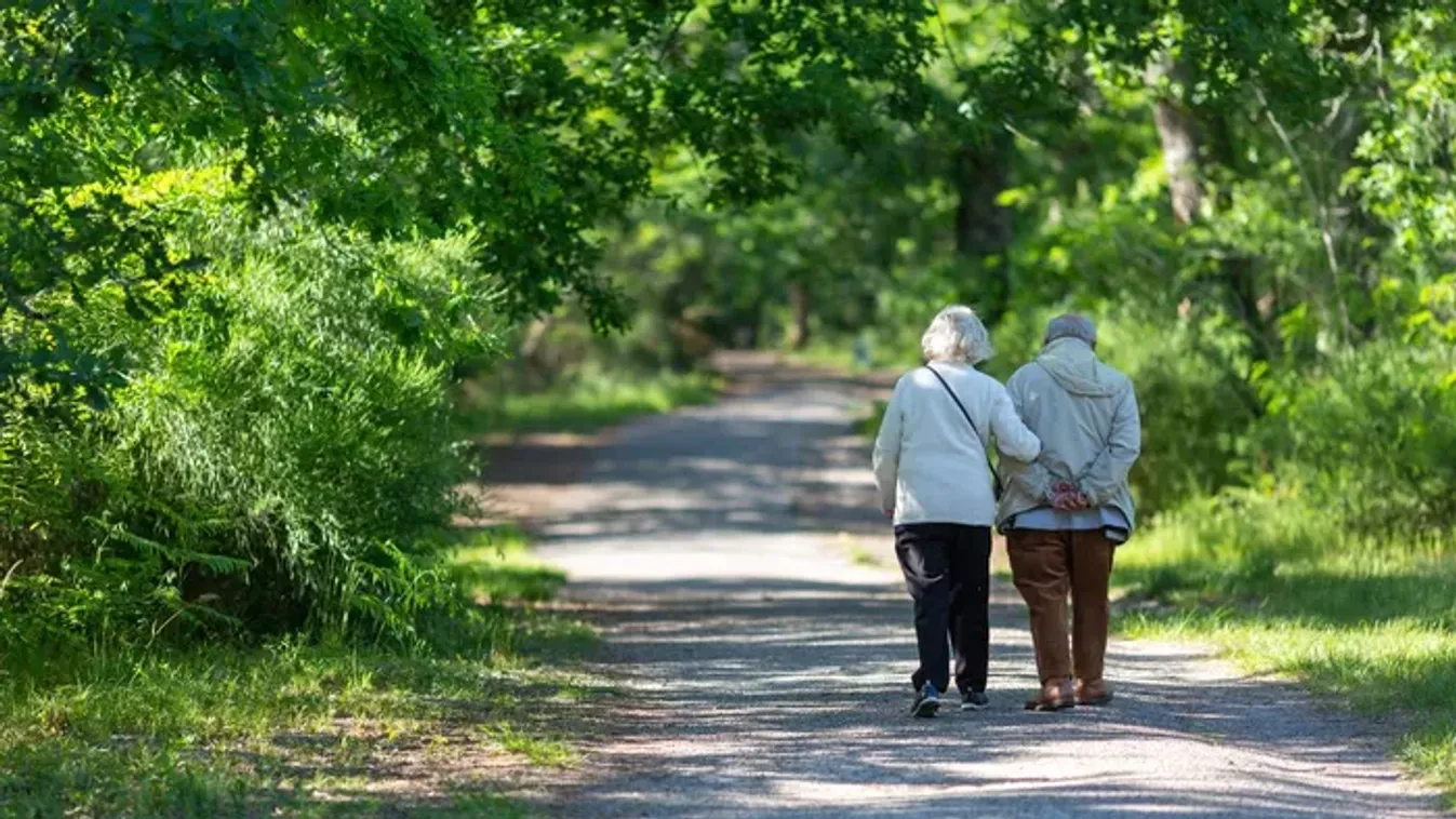 Meglepő tünet: így ismerhető fel a demencia sétálás közben