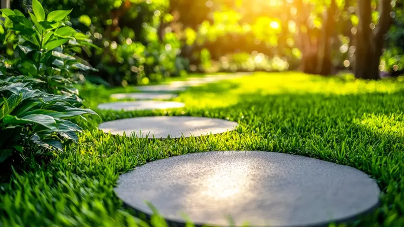 Ha ezt az 1 tanácsot megfogadjuk, gyönyörű lesz a pázsit a kertünkben