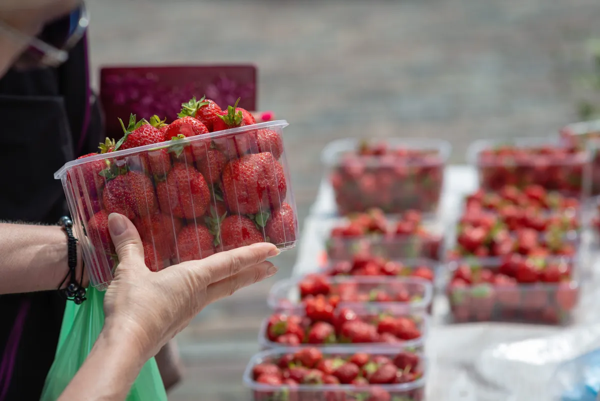 Az út menti árusoktól a boltokig mindenhol ellenőrzik az eper minőségét