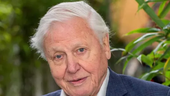 A ma 100 éves David Attenborough egyszerű étrendi szokásokkal őrzi legendás vitalitását