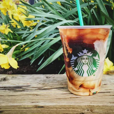 Fotó: Starbucks