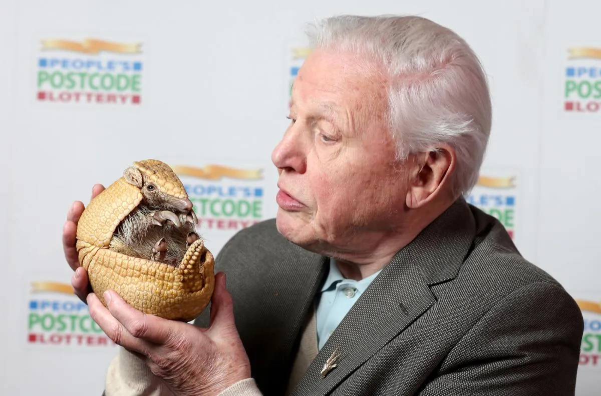 Sir David Attenborough 