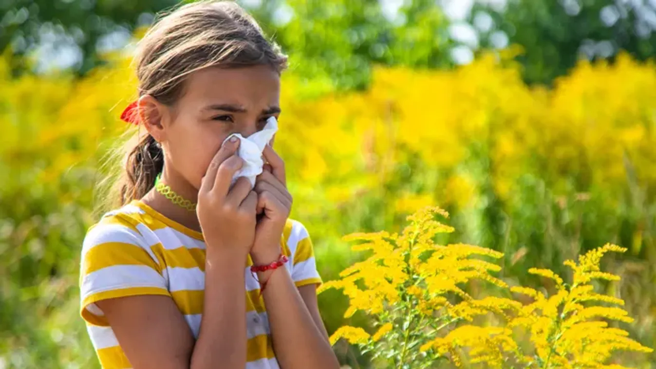 Egyre kegyetlenebb az allergiaszezon: ez a meglepő dolog állhat a háttérben