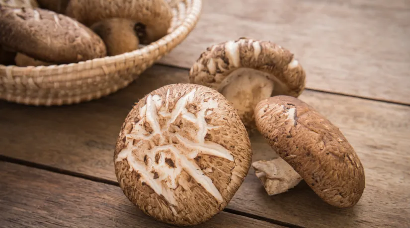 Shiitake gomba