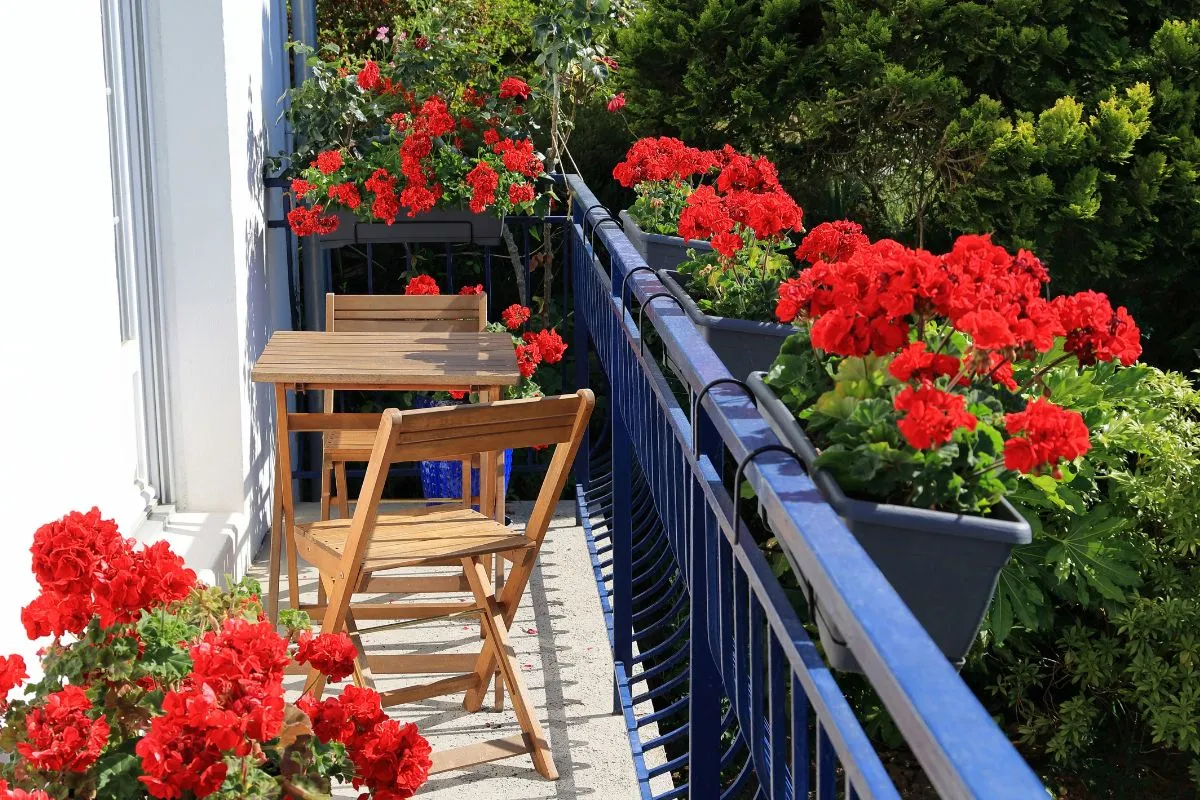 A balkon az év legmelegebb időszaka alatt is lehet virágokkal teli