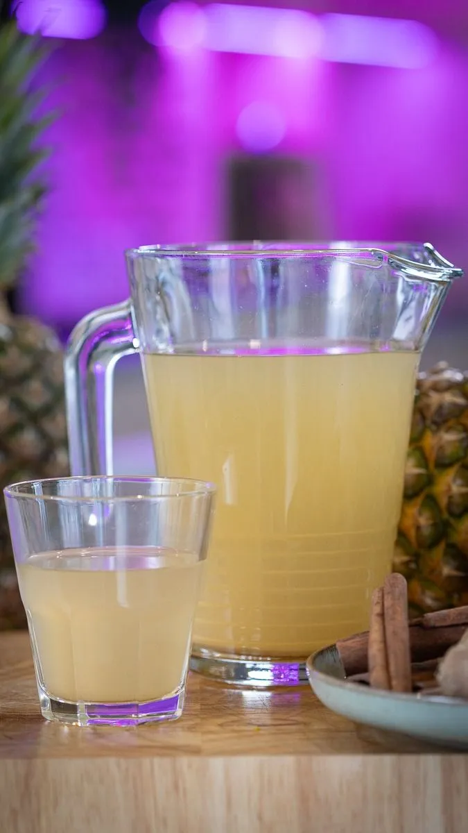 Ananásztea